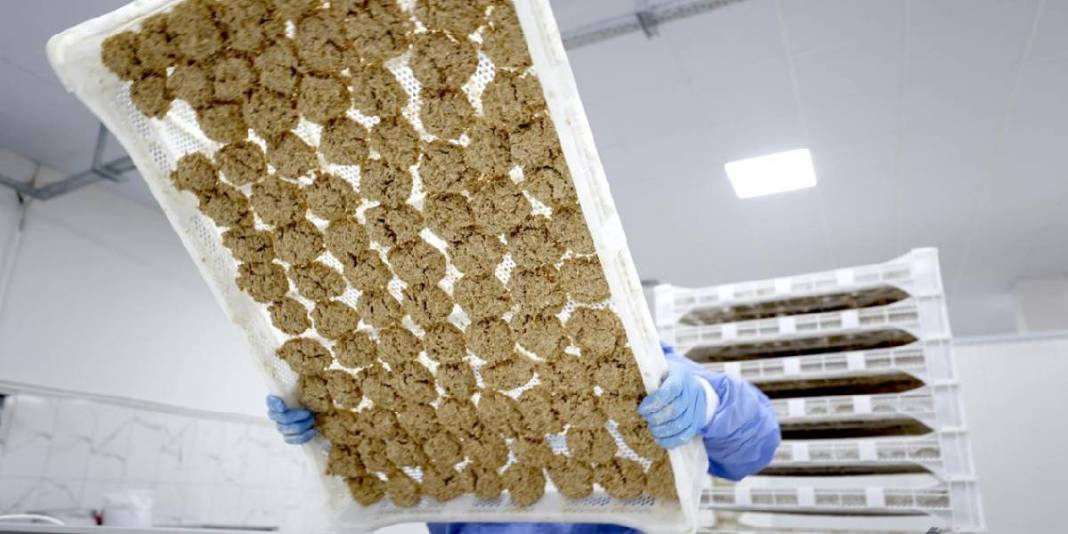 Osmanlı usulüyle yapılıyor, tesciliyle nam salıyor! Malatya’nın meşhur tarhanası ihracat için hazırlanıyor 5